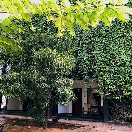 Dambulla Rock Arch Bed & Breakfast ภายนอก รูปภาพ