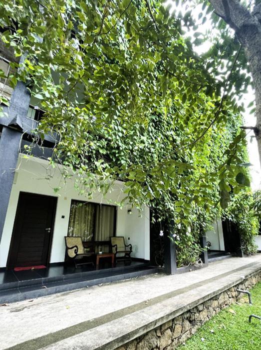Dambulla Rock Arch Bed & Breakfast ภายนอก รูปภาพ