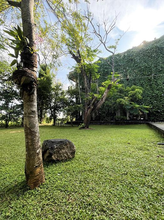 Dambulla Rock Arch Bed & Breakfast ภายนอก รูปภาพ